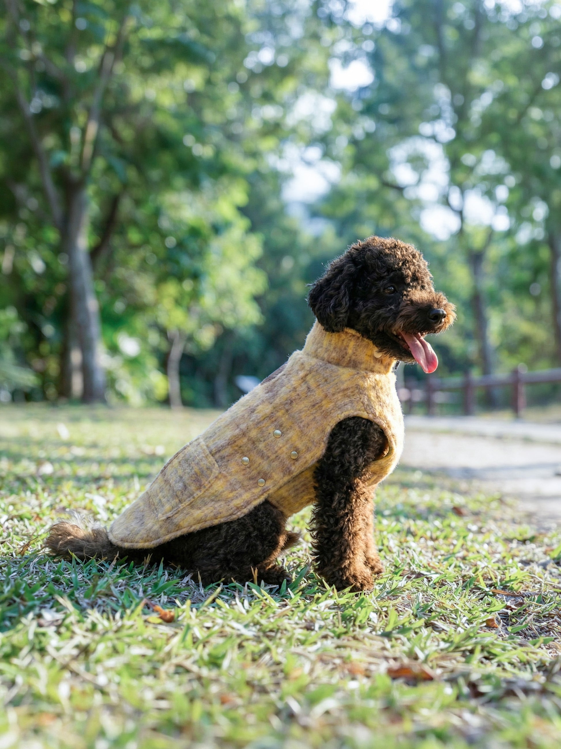 Dog Wearing Yellow Japanese Alpaca Wool Side - KIDCORE Blueberry Cheese Vest