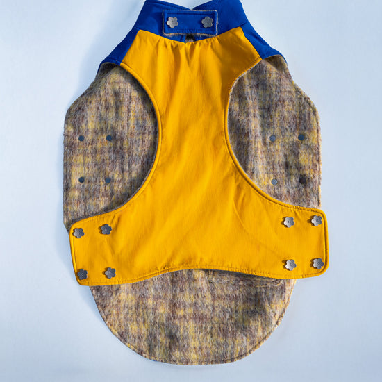 KIDCORE Blueberry Cheese Vest - Open View Showing Yellow Wool and Blue Shell