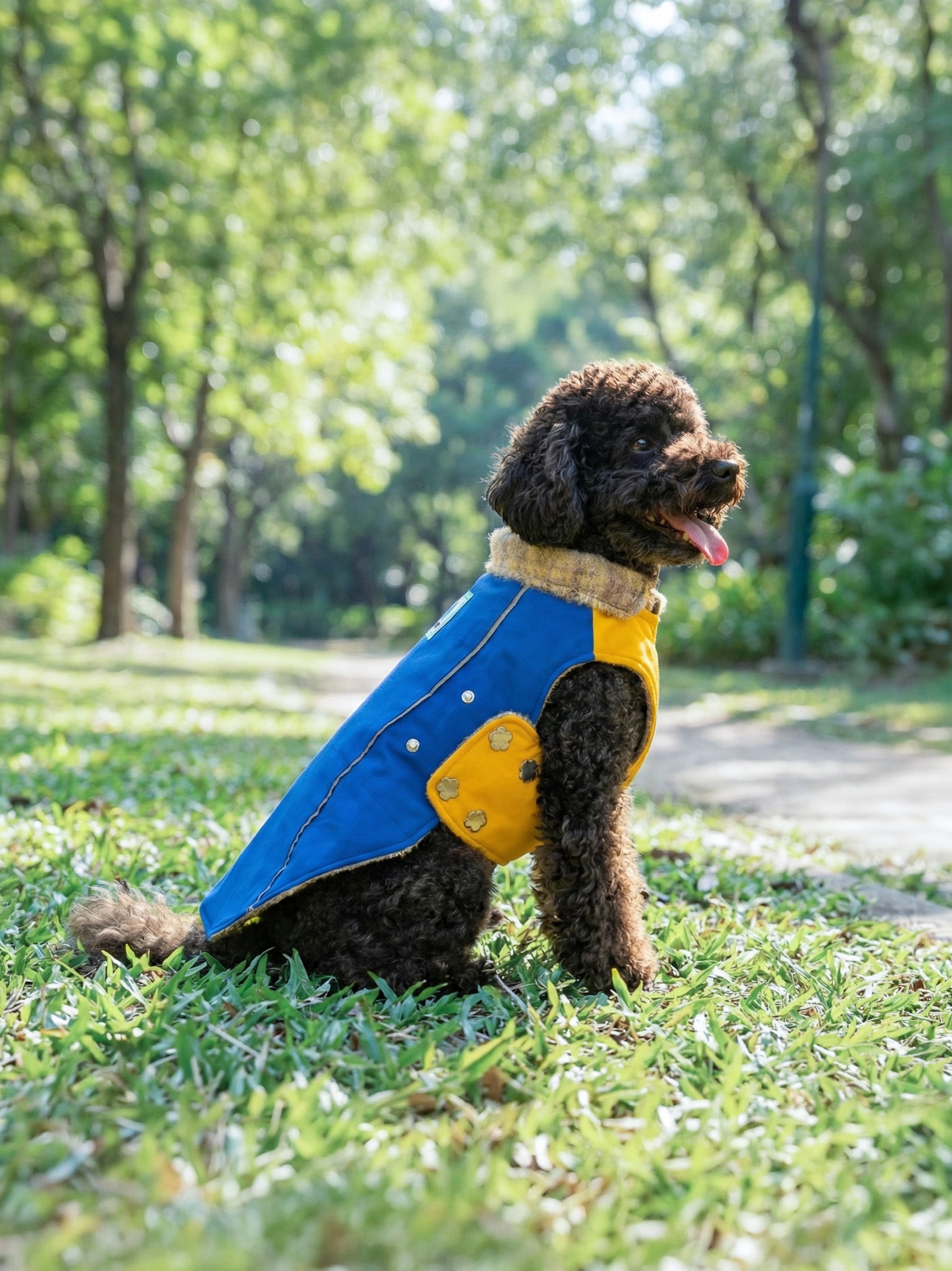 KIDCORE Premium Reversible Vest | Alpaca Wool & Waterproof Dog Raincoa